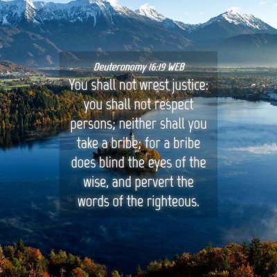 Picture 04 - Deuteronomy 16:19 WEB - You shall not wrest justice: you shall not - Bible Verse Picture