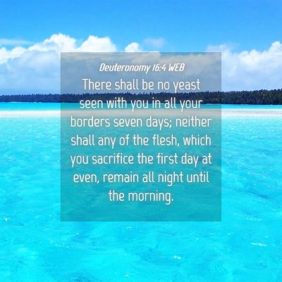 Picture 04 - Deuteronomy 16:4 WEB - There shall be no yeast seen with you in all your - Bible Verse Picture