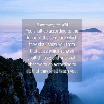 Picture 04 - Deuteronomy 17:10 WEB - You shall do according to the tenor of the - Bible Verse Picture