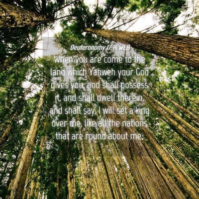 Picture 04 - Deuteronomy 17:14 WEB - When you are come to the land which Yahweh your - Bible Verse Picture
