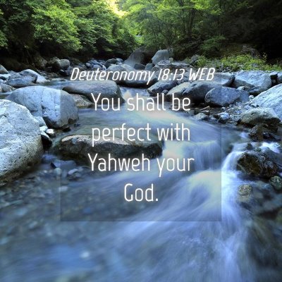 Picture 04 - Deuteronomy 18:13 WEB - You shall be perfect with Yahweh your - Bible Verse Picture
