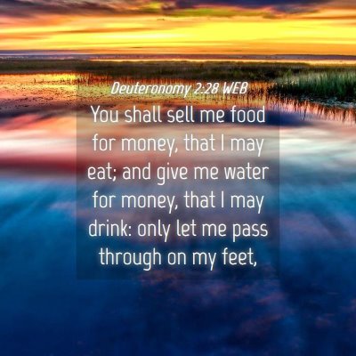 Picture 04 - Deuteronomy 2:28 WEB - You shall sell me food for money, that I may eat; - Bible Verse Picture