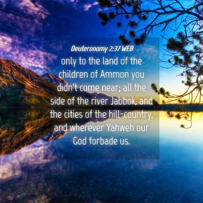 Picture 04 - Deuteronomy 2:37 WEB - only to the land of the children of Ammon you - Bible Verse Picture