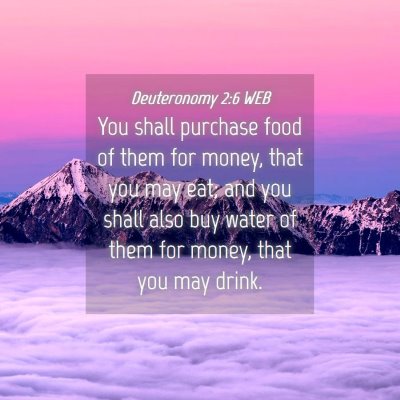 Picture 04 - Deuteronomy 2:6 WEB - You shall purchase food of them for money, that - Bible Verse Picture