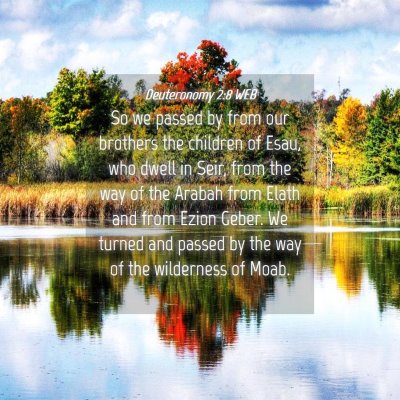Picture 04 - Deuteronomy 2:8 WEB - So we passed by from our brothers the children of - Bible Verse Picture