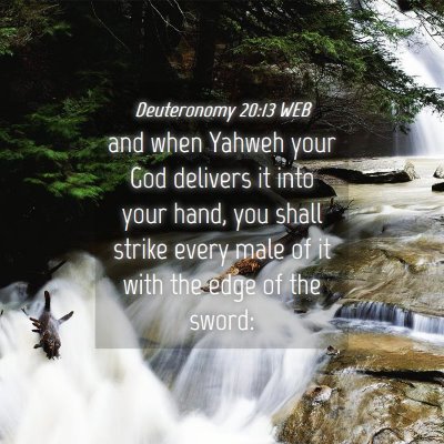 Picture 04 - Deuteronomy 20:13 WEB - and when Yahweh your God delivers it into your - Bible Verse Picture