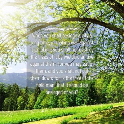 Picture 04 - Deuteronomy 20:19 WEB - When you shall besiege a city a long time, in - Bible Verse Picture