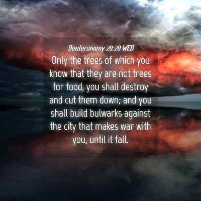 Picture 04 - Deuteronomy 20:20 WEB - Only the trees of which you know that they are - Bible Verse Picture