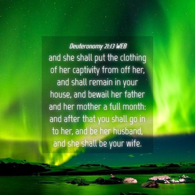 Picture 04 - Deuteronomy 21:13 WEB - and she shall put the clothing of her captivity - Bible Verse Picture