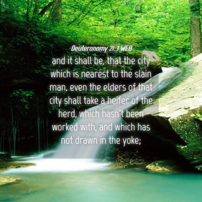 Picture 04 - Deuteronomy 21:3 WEB - and it shall be, that the city which is nearest - Bible Verse Picture