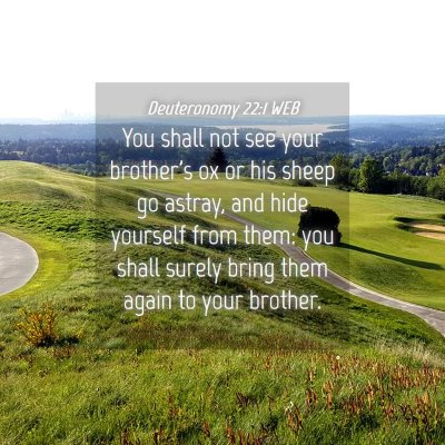 Picture 04 - Deuteronomy 22:1 WEB - You shall not see your brother's ox or his sheep - Bible Verse Picture