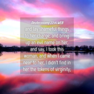 Picture 04 - Deuteronomy 22:14 WEB - and lay shameful things to her charge, and bring - Bible Verse Picture