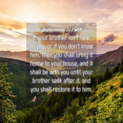 Picture 04 - Deuteronomy 22:2 WEB - If your brother isn't near to you, or if you - Bible Verse Picture