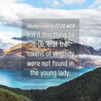 Picture 04 - Deuteronomy 22:20 WEB - But if this thing be true, that the tokens of - Bible Verse Picture