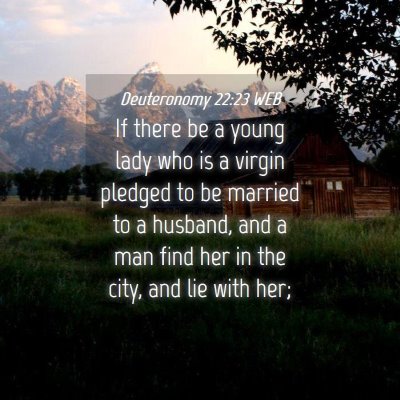 Picture 04 - Deuteronomy 22:23 WEB - If there be a young lady who is a virgin pledged - Bible Verse Picture