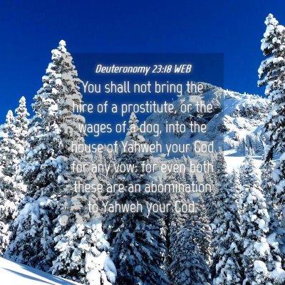 Picture 04 - Deuteronomy 23:18 WEB - You shall not bring the hire of a prostitute, or - Bible Verse Picture