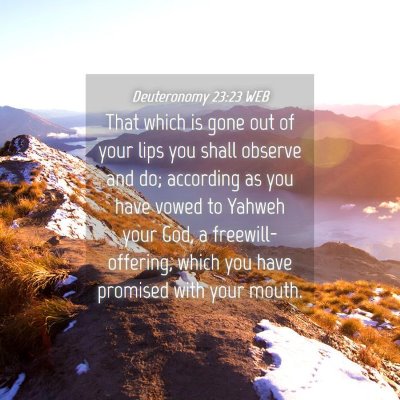 Picture 04 - Deuteronomy 23:23 WEB - That which is gone out of your lips you shall - Bible Verse Picture
