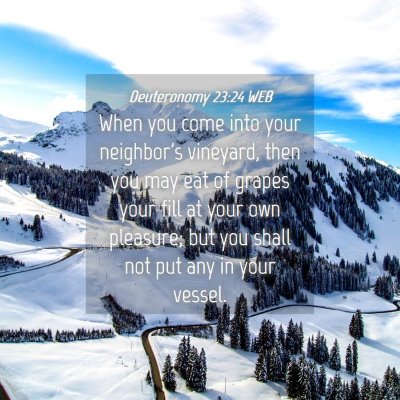 Picture 04 - Deuteronomy 23:24 WEB - When you come into your neighbor's vineyard, then - Bible Verse Picture
