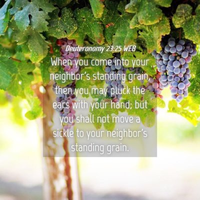 Picture 04 - Deuteronomy 23:25 WEB - When you come into your neighbor's standing - Bible Verse Picture