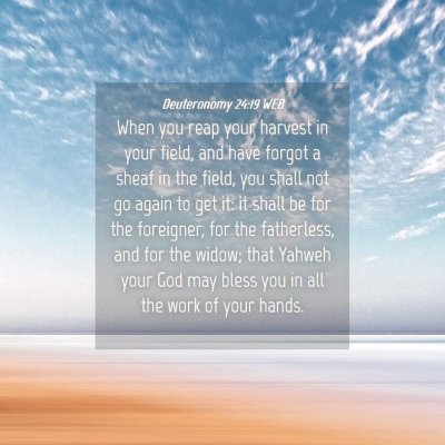 Picture 04 - Deuteronomy 24:19 WEB - When you reap your harvest in your field, and - Bible Verse Picture