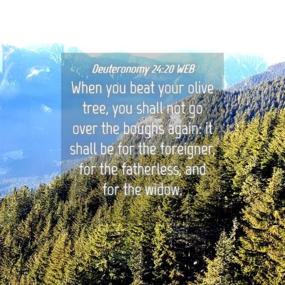 Picture 04 - Deuteronomy 24:20 WEB - When you beat your olive tree, you shall not go - Bible Verse Picture