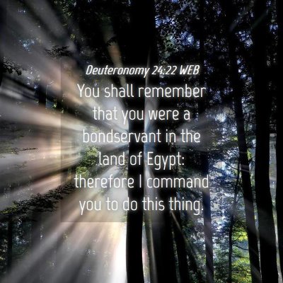 Picture 04 - Deuteronomy 24:22 WEB - You shall remember that you were a bondservant in - Bible Verse Picture