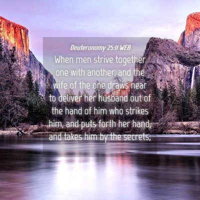 Picture 04 - Deuteronomy 25:11 WEB - When men strive together one with another, and - Bible Verse Picture