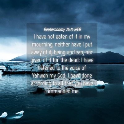 Picture 04 - Deuteronomy 26:14 WEB - I have not eaten of it in my mourning, neither - Bible Verse Picture