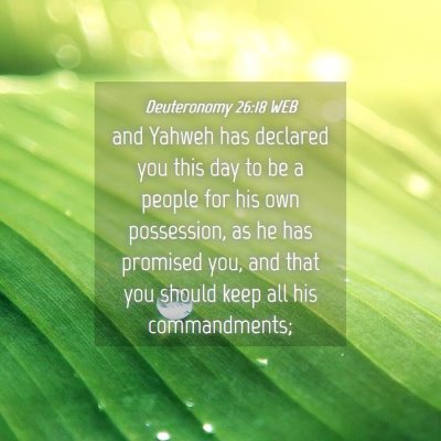 Picture 04 - Deuteronomy 26:18 WEB - and Yahweh has declared you this day to be a - Bible Verse Picture