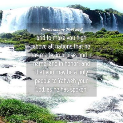 Picture 04 - Deuteronomy 26:19 WEB - and to make you high above all nations that he - Bible Verse Picture