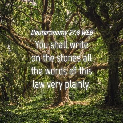 Picture 04 - Deuteronomy 27:8 WEB - You shall write on the stones all the words of - Bible Verse Picture