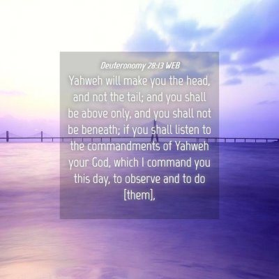 Picture 04 - Deuteronomy 28:13 WEB - Yahweh will make you the head, and not the tail; - Bible Verse Picture