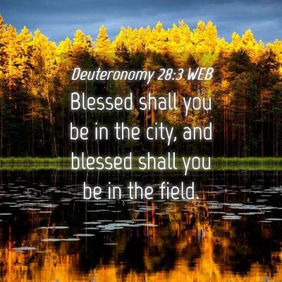 Picture 04 - Deuteronomy 28:3 WEB - Blessed shall you be in the city, and blessed - Bible Verse Picture