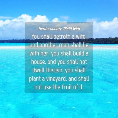 Picture 04 - Deuteronomy 28:30 WEB - You shall betroth a wife, and another man shall - Bible Verse Picture