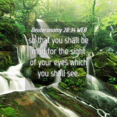 Picture 04 - Deuteronomy 28:34 WEB - so that you shall be mad for the sight of your - Bible Verse Picture