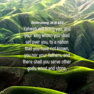 Picture 04 - Deuteronomy 28:36 WEB - Yahweh will bring you, and your king whom you - Bible Verse Picture