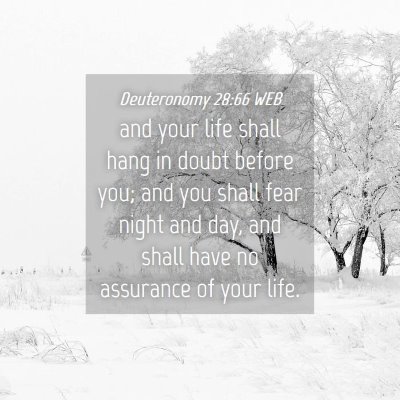 Picture 04 - Deuteronomy 28:66 WEB - and your life shall hang in doubt before you; and - Bible Verse Picture