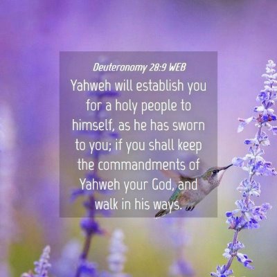Picture 04 - Deuteronomy 28:9 WEB - Yahweh will establish you for a holy people to - Bible Verse Picture