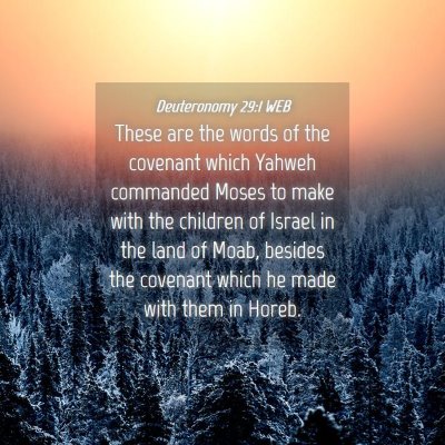 Picture 04 - Deuteronomy 29:1 WEB - These are the words of the covenant which Yahweh - Bible Verse Picture