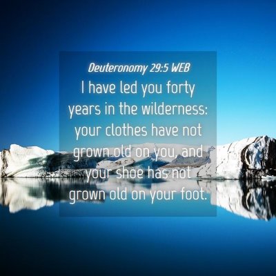 Picture 04 - Deuteronomy 29:5 WEB - I have led you forty years in the wilderness: - Bible Verse Picture