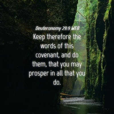 Picture 04 - Deuteronomy 29:9 WEB - Keep therefore the words of this covenant, and do - Bible Verse Picture