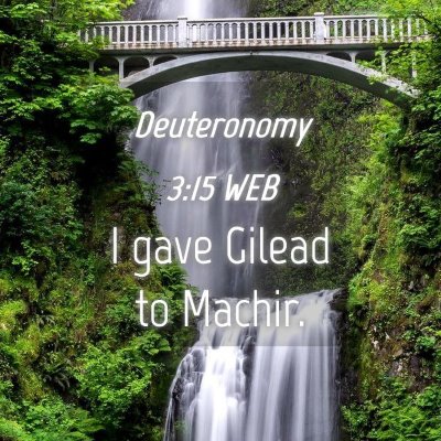 Picture 04 - Deuteronomy 3:15 WEB - I gave Gilead to - Bible Verse Picture