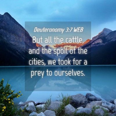Picture 04 - Deuteronomy 3:7 WEB - But all the cattle, and the spoil of the cities, - Bible Verse Picture