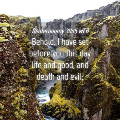Picture 04 - Deuteronomy 30:15 WEB - Behold, I have set before you this day life and - Bible Verse Picture