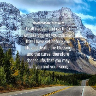 Picture 04 - Deuteronomy 30:19 WEB - I call heaven and earth to witness against you - Bible Verse Picture