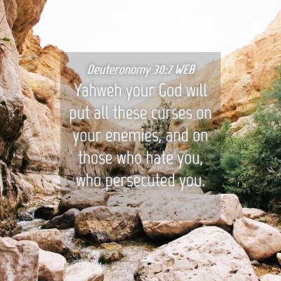 Picture 04 - Deuteronomy 30:7 WEB - Yahweh your God will put all these curses on your - Bible Verse Picture