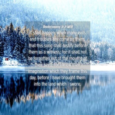 Picture 04 - Deuteronomy 31:21 WEB - It shall happen, when many evils and troubles are - Bible Verse Picture