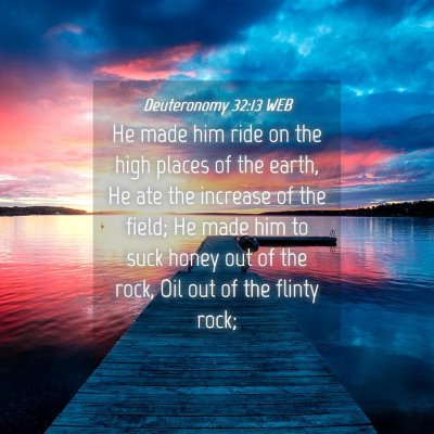Picture 04 - Deuteronomy 32:13 WEB - He made him ride on the high places of the earth, - Bible Verse Picture