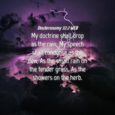 Picture 04 - Deuteronomy 32:2 WEB - My doctrine shall drop as the rain; My speech - Bible Verse Picture