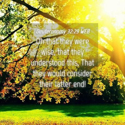 Picture 04 - Deuteronomy 32:29 WEB - Oh that they were wise, that they understood - Bible Verse Picture